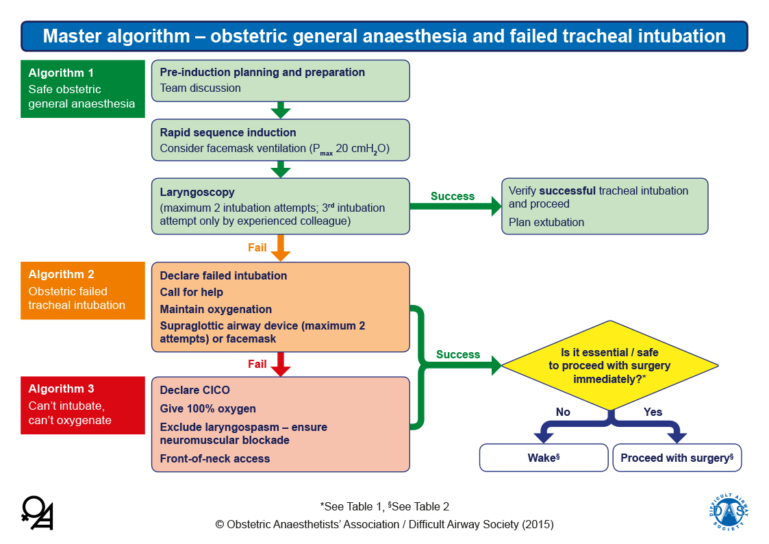 Obstetric Airway Guidelines - Master Algorithm