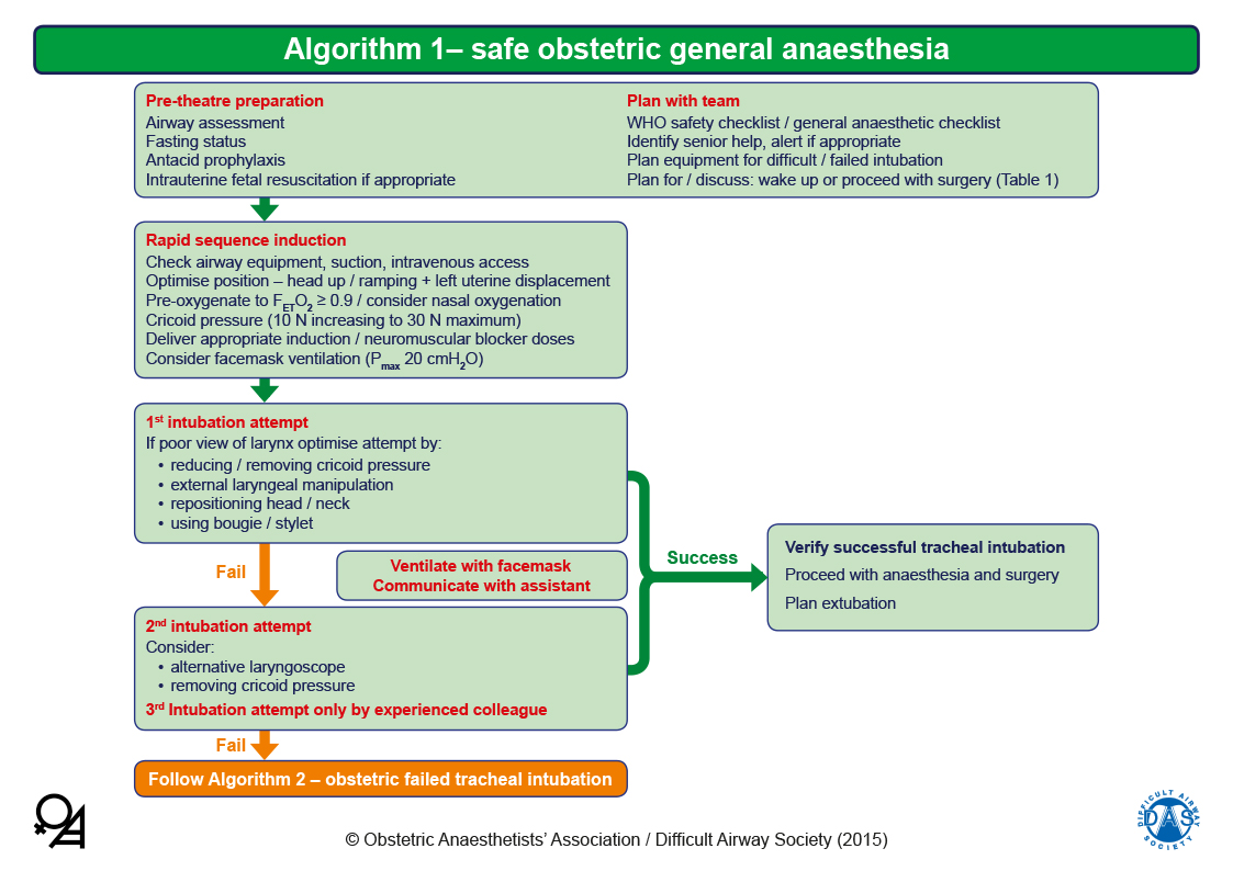 Obstetric Airway Guidelines - Algorithm 1