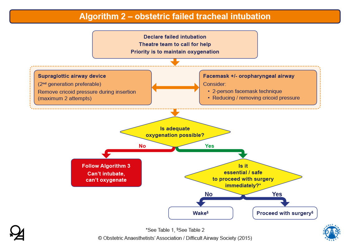 Obstetric Airway Guidelines - Algorithm 2